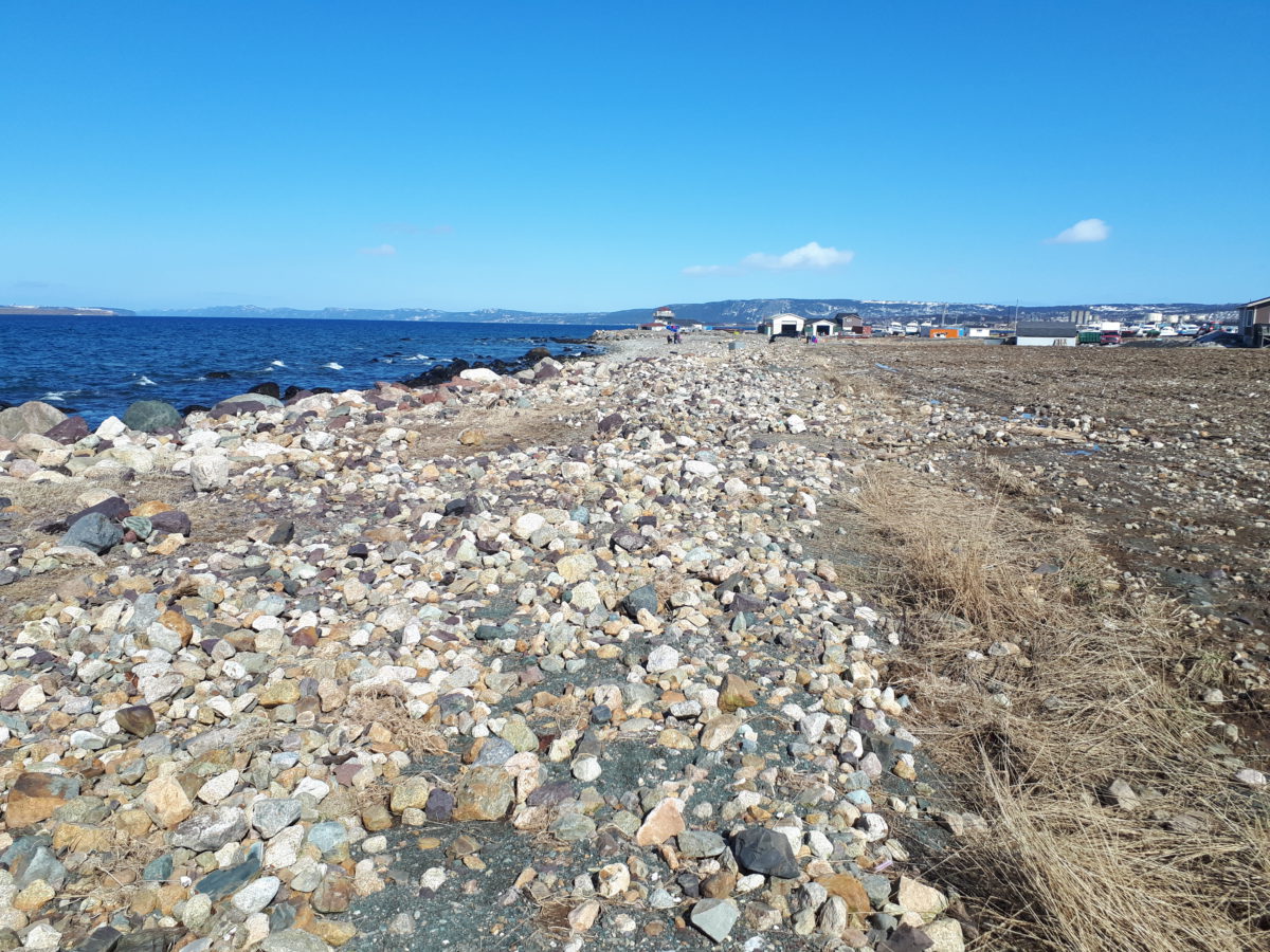 The Trailway Conception Bay South