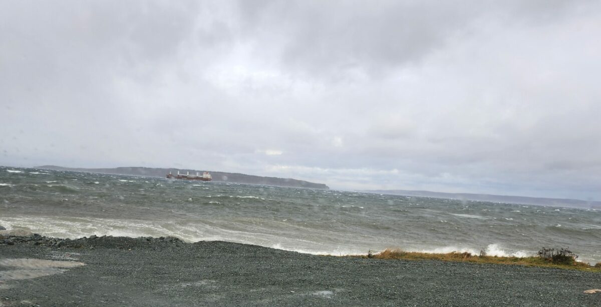 Conception Bay South